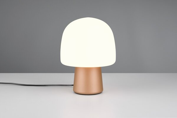 Φωτιστικό Επιτραπέζιο Trio Lighting STEEN 568200165 Καφετί (Coffee)