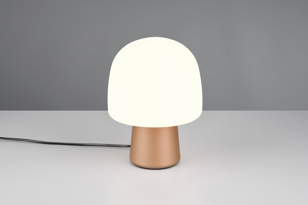 Φωτιστικό Επιτραπέζιο Trio Lighting STEEN 568200165 Καφετί (Coffee)