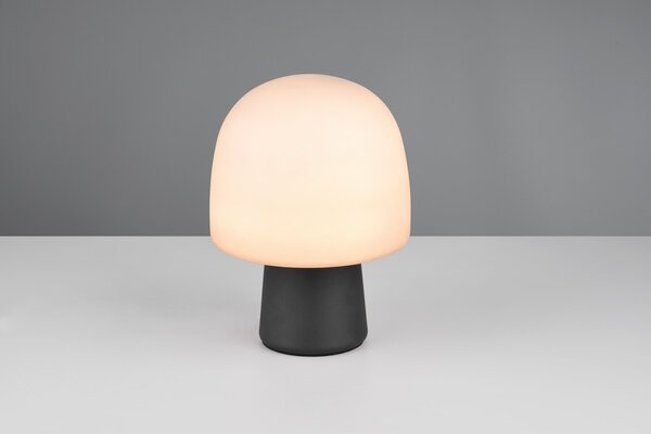 Φωτιστικό Επιτραπέζιο Trio Lighting STEEN 568200132 Μαύρο Ματ (Black Mat)