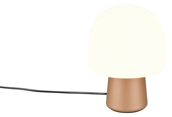 Φωτιστικό Επιτραπέζιο Trio Lighting STEEN 568200165 Καφετί (Coffee)