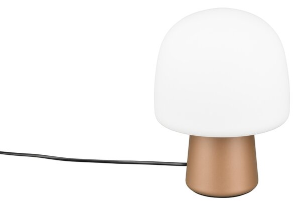 Φωτιστικό Επιτραπέζιο Trio Lighting STEEN 568200165 Καφετί (Coffee)