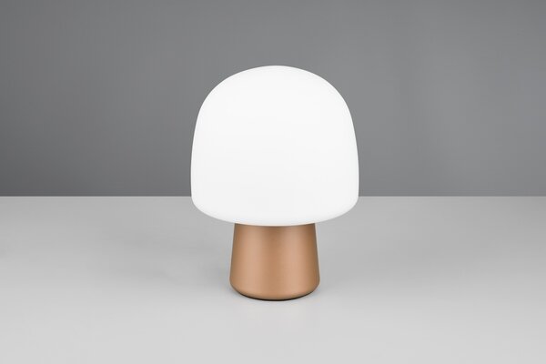 Φωτιστικό Επιτραπέζιο Trio Lighting STEEN 568200165 Καφετί (Coffee)