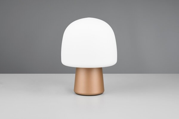 Φωτιστικό Επιτραπέζιο Trio Lighting STEEN 568200165 Καφετί (Coffee)