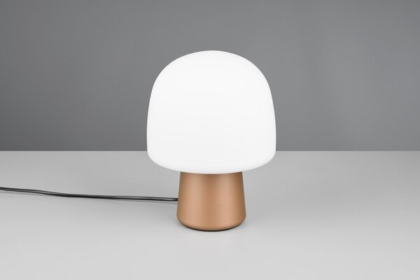 Φωτιστικό Επιτραπέζιο Trio Lighting STEEN 568200165 Καφετί (Coffee)