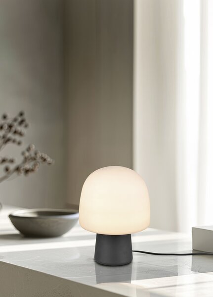 Φωτιστικό Επιτραπέζιο Trio Lighting STEEN 568200132 Μαύρο Ματ (Black Mat)