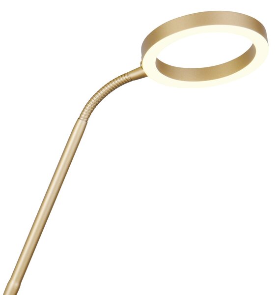 Φωτιστικό Επιδαπέδιο Trio Lighting WILLIS 449510279 Χρυσό Χρώμα (Gold Coloured) 2700+3200+4000K