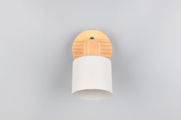 Φωτιστικό Σποτ Trio Lighting SHANTI 862700176 Γκρι (Grey)