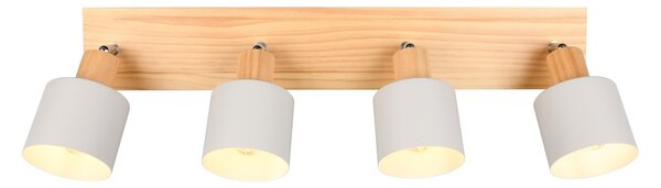 Φωτιστικό Σποτ Trio Lighting SHANTI 862700476 Γκρι (Grey)