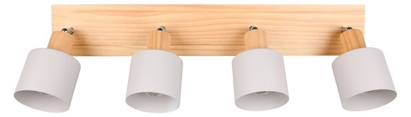 Φωτιστικό Σποτ Trio Lighting SHANTI 862700476 Γκρι (Grey)
