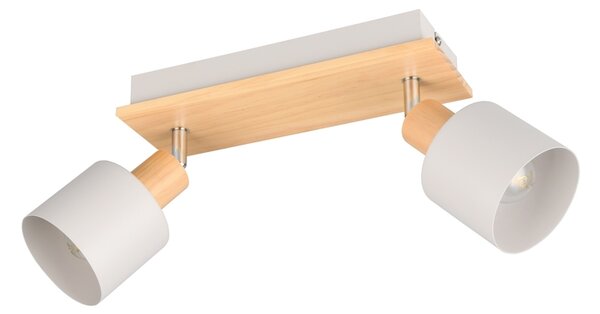 Φωτιστικό Σποτ Trio Lighting SHANTI 862700276 Γκρι (Grey)