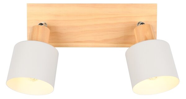 Φωτιστικό Σποτ Trio Lighting SHANTI 862700276 Γκρι (Grey)