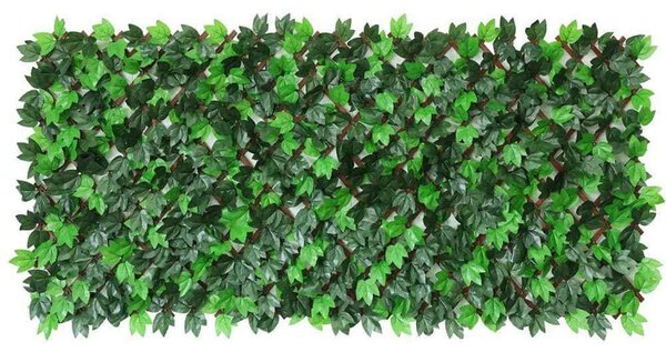 Πτυσσόμενη Πέργκολα Κισσός Eden 6191-7 100x200cm Green Supergreens