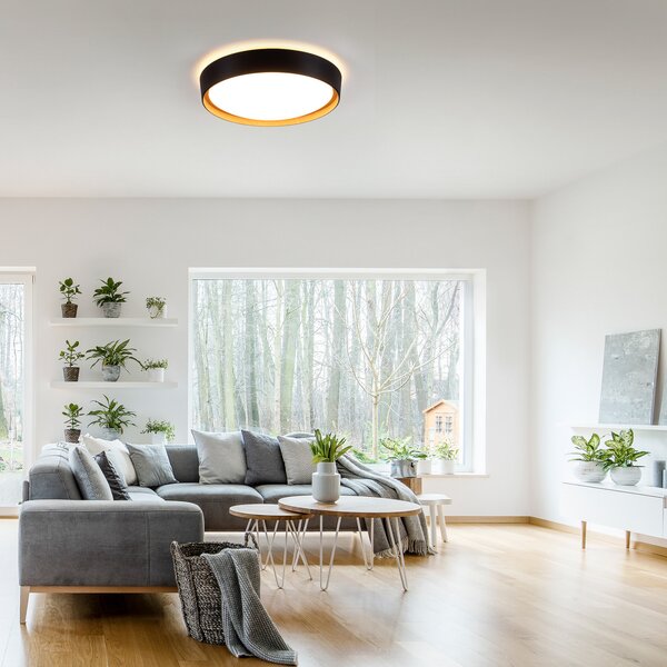 JUST LIGHT. GmbH Φωτιστικό οροφής LED Emilia 3 βημάτων dimmable μαύρο, ρυθμιζόμενος, Μαύρο, Σαλόνι / τραπεζαρία, Μέταλλο, σύγχρονο