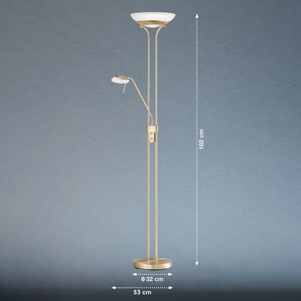 FISCHER & HONSEL Φωτιστικό δαπέδου LED Pool, ορειχάλκινο, ύψος 182 cm, 2-φωτιστικό., ρυθμιζόμενος, Χρυσό / Ορείχαλκου, Σαλόνι / τραπεζαρία, Μέταλλο, σύγχρονο, Φως ανάγνωσης