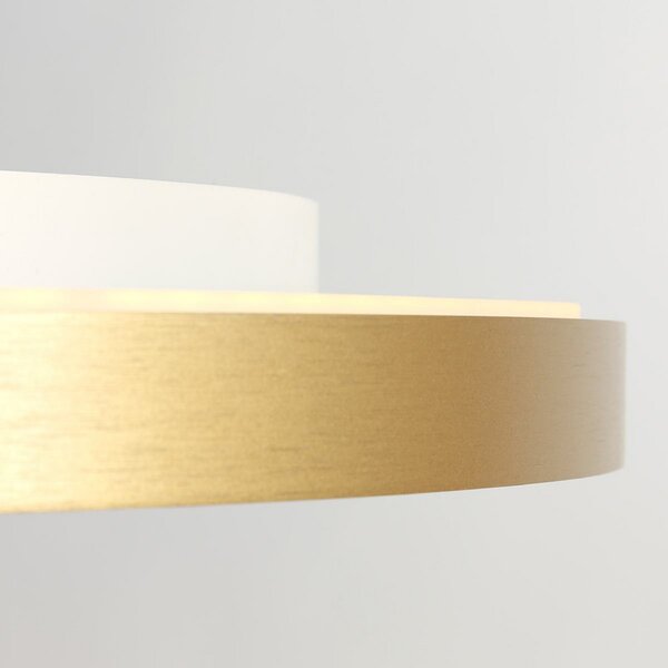 Steinhauer Φωτιστικό οροφής Flady LED, χρυσό χρώμα, Ø 50 cm direct/indirect, ρυθμιζόμενος, Χρυσό / Ορείχαλκου, Σαλόνι / τραπεζαρία, Μέταλλο