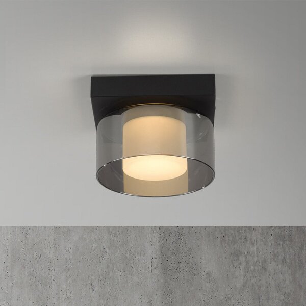 Paul Neuhaus LED φωτιστικό οροφής Rika, Ø 15 cm, γυαλί, με δυνατότητα ρύθμισης, ρυθμιζόμενος, Μαύρο, Σαλόνι / τραπεζαρία, Γυαλί, σύγχρονο