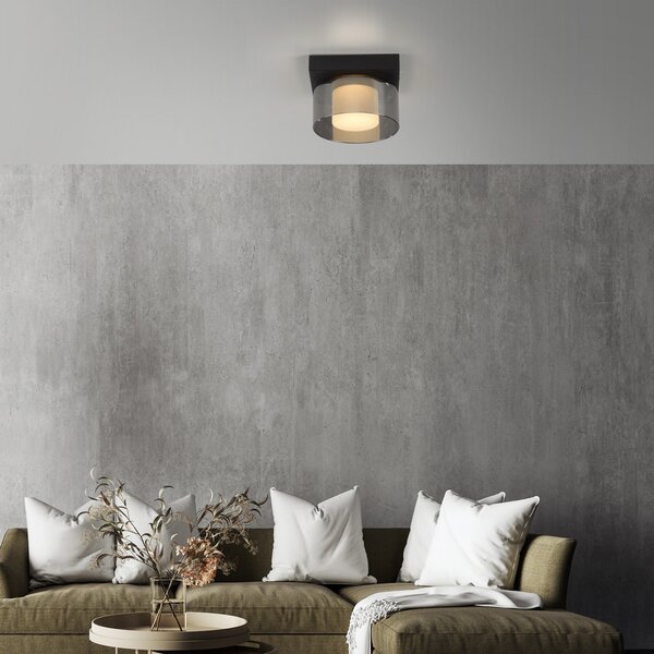 Paul Neuhaus LED φωτιστικό οροφής Rika, Ø 15 cm, γυαλί, με δυνατότητα ρύθμισης, ρυθμιζόμενος, Μαύρο, Σαλόνι / τραπεζαρία, Γυαλί, σύγχρονο
