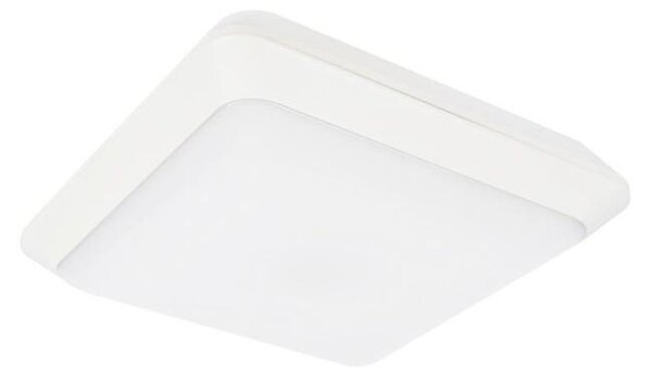 Φως οροφής εξωτερικού χώρου LED TIPO LED/24W/230V IP66