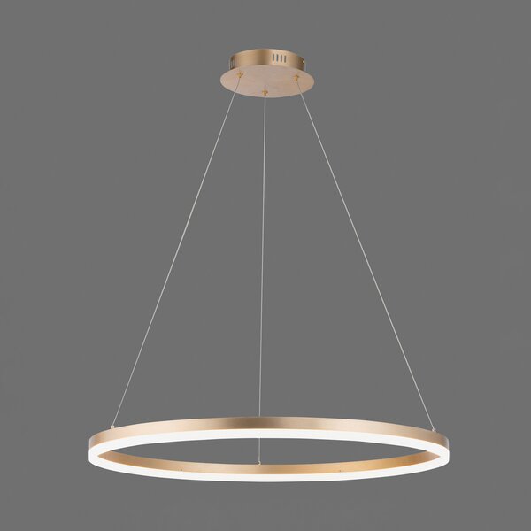 Paul Neuhaus LED κρεμαστό φωτιστικό Titus, Ø 80 cm, ορείχαλκος, με δυνατότητα, ρυθμιζόμενος, Χρυσό / Ορείχαλκου, Σαλόνι / τραπεζαρία, Μέταλλο, σύγχρονο