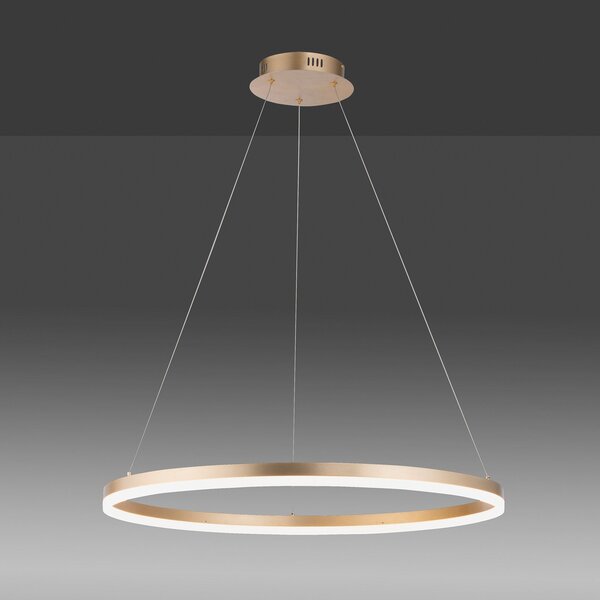 Paul Neuhaus LED κρεμαστό φωτιστικό Titus, Ø 80 cm, ορείχαλκος, με δυνατότητα, ρυθμιζόμενος, Χρυσό / Ορείχαλκου, Σαλόνι / τραπεζαρία, Μέταλλο, σύγχρονο