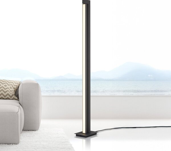 PURE Φωτιστικό δαπέδου LED Lines, ανθρακί, τηλεχειριστήριο, 140 cm, ρυθμιζόμενος, Μαύρο, Σαλόνι / τραπεζαρία, Μέταλλο, σύγχρονο