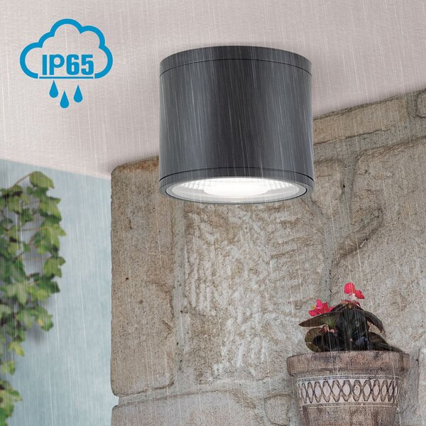 ORION Προβολέας οροφής LED Sputnik IP65 Ø 14,5 cm μαύρο, Μαύρο, Μπάνιο, Μέταλλο, σύγχρονο, Υπαίθριος προβολέας / ακίδα εδάφους