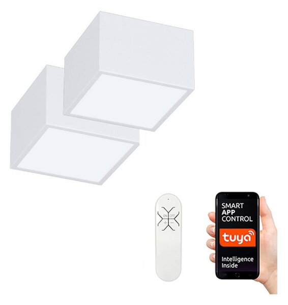 Immax Neo 07072L-15BD- Σετ 2x LED Φωτιστικό dimming CANTO 2xLED/12W/230V +RC