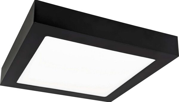 LED Φωτιστικό οροφής FENIX LED/12W/230V 2800K 17 cm