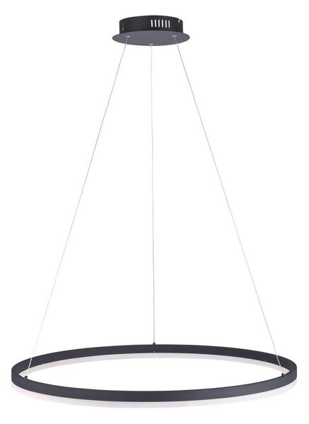 Paul Neuhaus 2383-13 - LED Dimmable πολύφωτο ράγα ITUS LED/50W/230V