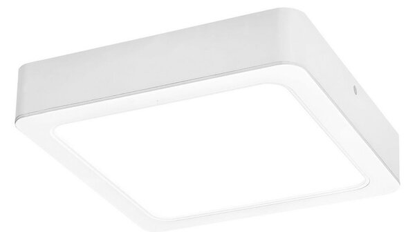 Rabalux 3176 - Φωτιστικό οροφής LED SHAUN LED/24W/230V 22 cm