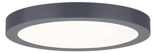 Paulmann 70988 - LED/22W Φωτιστικό οροφής ABIA 230V ανθρακί