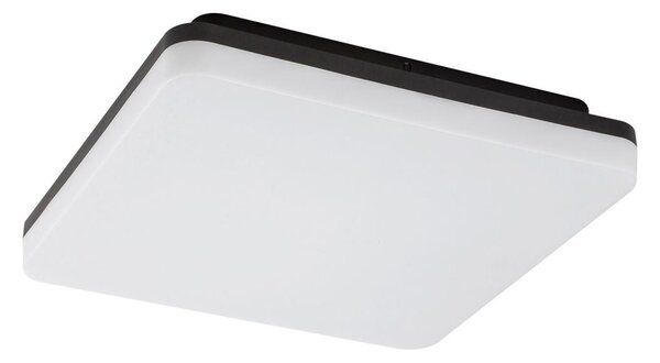 Rabalux 7250 - Φωτιστικό οροφής μπάνιου LED PERNIK LED/24W/230V IP54