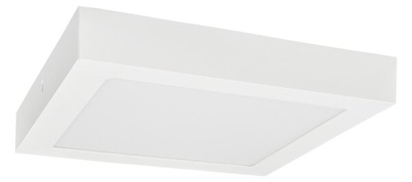 Φωτιστικό οροφής LED FENIX LED/12W/230V 3800K 17 cm snow λευκό