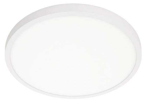 ITALUX PLF-7001-400R-WH-4K - Φωτιστικό οροφής LED PELARO LED/30W/230V 4000K λευκό