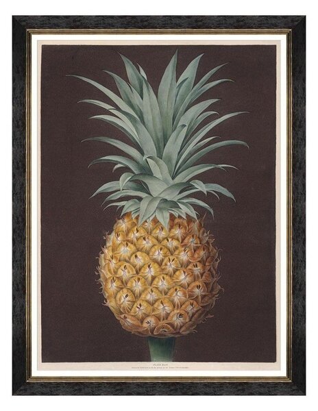 Κάδρο Pineapples Of Antigua - The Havannah Pine By Brookshaw FA13200 60X80 MindTheGap