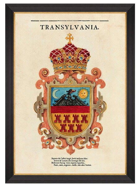 Κάδρο Transylvania Saxon Crest FA13268 70x100cm Multi MindTheGap