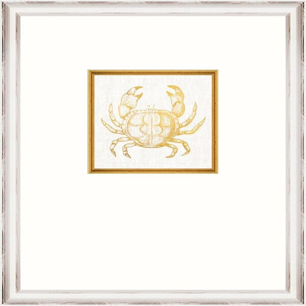 Κάδρο Crab Fa13363 35X45Cm White-Gold Mindthegap