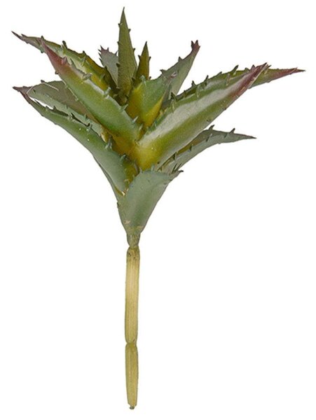 Διακοσμητικό Φυτό Aloe PT3648 15,2x17,1x15,2cm Green Present Time