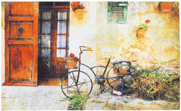 Πατάκι Εισόδου Gallery 010 Bicycle 45X75cm Multi Sdim