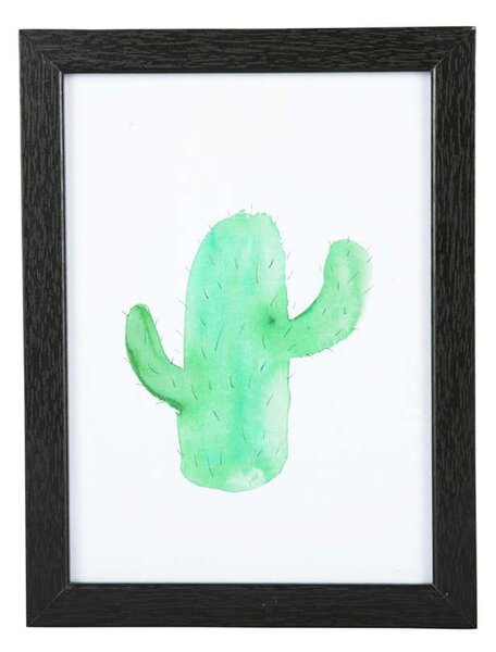 Κάδρο Cactus PT3888BK M 13x18cm Multi Present Time