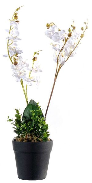 Τεχνητό Φυτό Ορχιδέα Phalaenopsis 2670-6 27x50cm White Supergreens