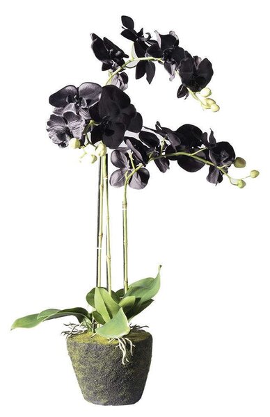 Τεχνητό Φυτό Ορχιδέα Με Βάση Moss 5170-6 39x25x85cm Black Supergreens