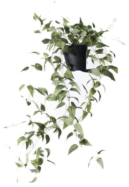 Τεχνητό Φυτό Πόθος Green Queen 6360-6 20x20x72cm Green Supergreens