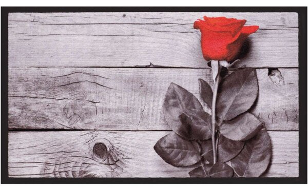 Πατάκι Εισόδου Image Rose 172 45x75cm Beige-Red Sdim