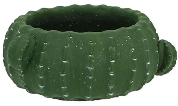 Κασπώ Κάκτος 06-00-19506 Φ20x9cm Green Marhome