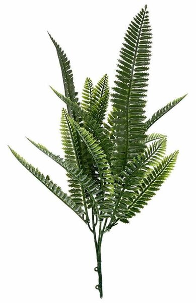 Μπουκέτο Διακοσμητικό W027 25-32cm Spleenwort Green New Plan