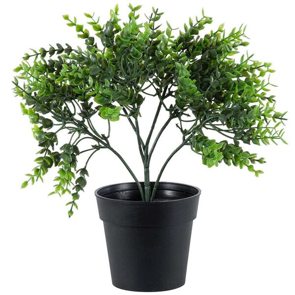 Τεχνητό Φυτό Eucalyptus 20392 30cm Green Globostar