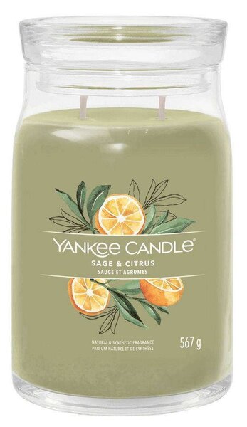 Αρωματικό Κερί Signature Sage & Citrus Large 1629961E 9,3x15,7cm Green Yankee Candle