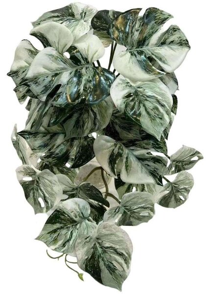 Τεχνητή Κρεμαστή Μονστέρα Albo Variegata 3251-7 45cm Green Supergreens