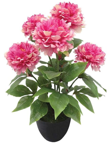 Τεχνητό Φυτό Παιώνια Σε Κασπώ 04-00-24185-1 48cm Multi-Fuchsia Marhome